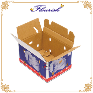 China Manufacturer Custom Corrugated Paper Garlic Pepper Packaging Carton Box